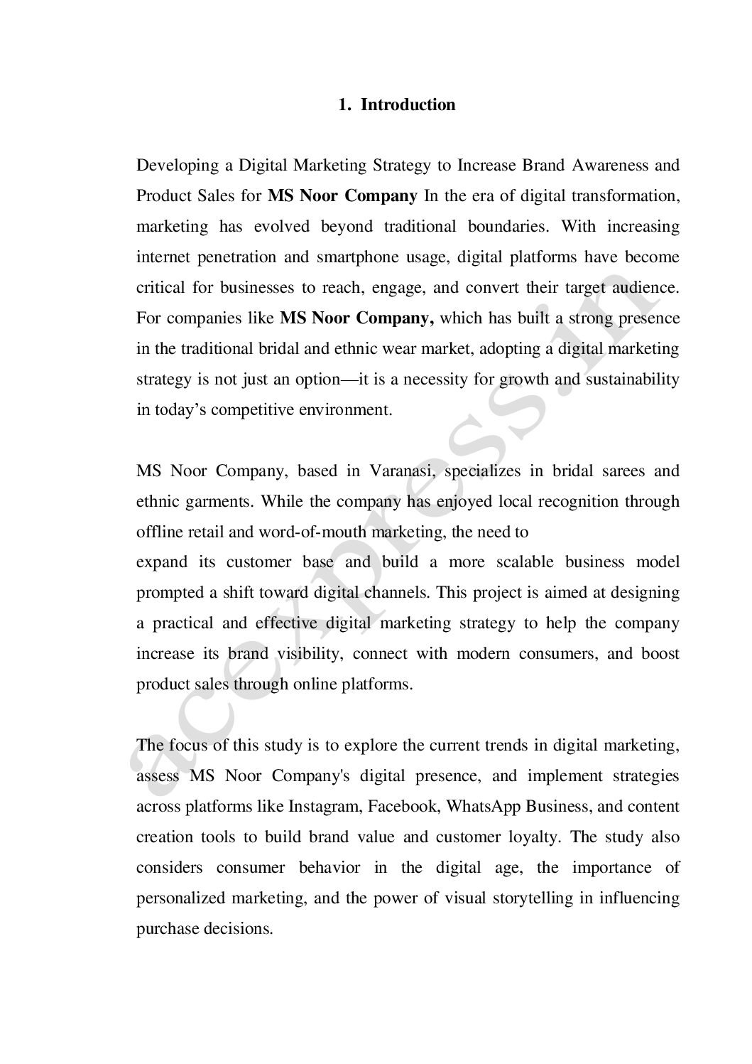 Mini Project_B.Com_Developing a Digital Marketing Strategy